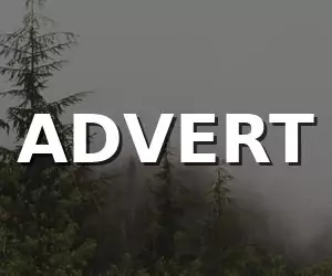 Insight Data - Sidebar Ad