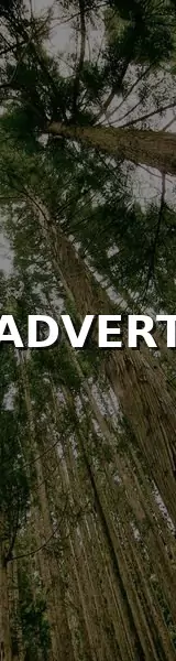 Insight Data - Skyscraper (Left)