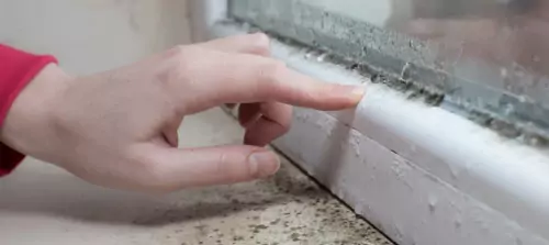 Mould Coz It’s Cold – Cutting Heating Causes Catastrophe