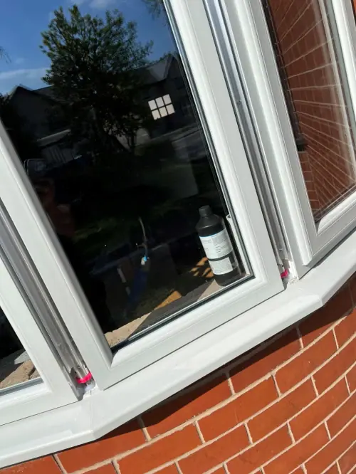 Viva Magenta Is The Colour for 2023