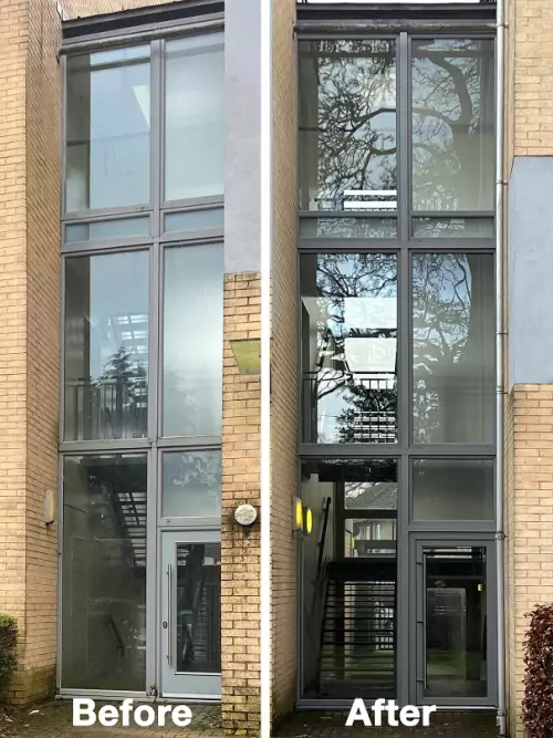 Greystone Gardens Goes Grey 