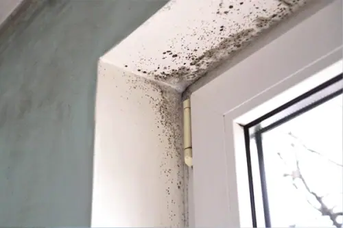 Damp Britain - 6 Expert Tips For Mould-Free Homes